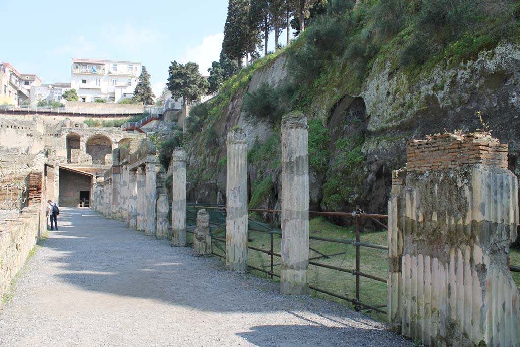 Ins. Orientalis II.4, Herculaneum, March 2014. Looking north-east from east end of large entrance hall.
Foto Annette Haug, ERC Grant 681269 DÉCOR